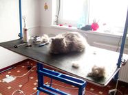 31